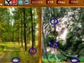 Game Forest Similarities Game