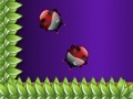 Game Roving Ladybugs