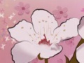 Game Spring Flowers