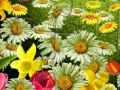 Game Nature Flowers Puzzle