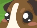 Game Guinea pig care