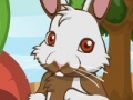 Game Pet bunny