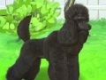 Game Pretty poodle
