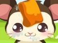 Game Hamster care
