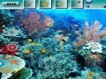 Game Underwater World G2R