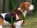 Game Beagle training