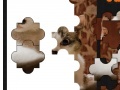 Game beautiful Cat jigsaw puzzle
