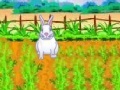 Game Playful Bunnies