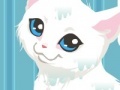 Game Kitty Care