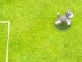 Game Pet soccer
