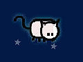 Game Flying Cat