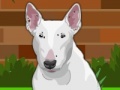 Game Dress up Bull Terrier Dog