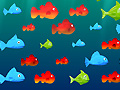 Game Feed the Fish