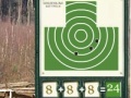 Game Sharpshooter. The pistol.