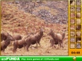 Game Hidden Spots Animals
