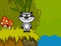 Game Raccoon's Towel
