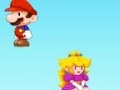 Game Mario Mirror