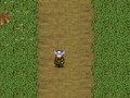 Game The viking king