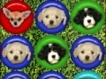 Game Cute puppy match
