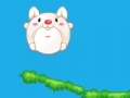 Game Rolling rabbit