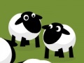 Game Sheep terminate