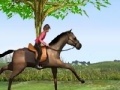 Game Horse Jumping