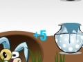 Game Crazy Rabbit Contest