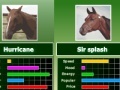 Game Horse bet racing