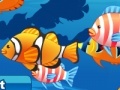 Game My sweet fish