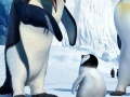 Game Hidden Numbers Happy Feet Two