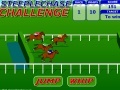 Game Steeplechase Challenge