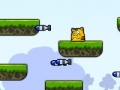 Game Cat spring