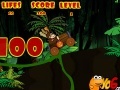 Game Donkey Kong race
