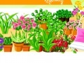 Game Garden design