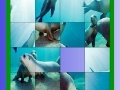 Game Ocean and seals slide puzzle