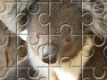 Game Austrailian Koala Bears 
