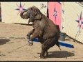 Game Circus Elephant jigsaw puzzle 
