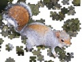 Game Jigsaw: Posing Squirrel