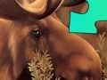 Game Animal Puzzle