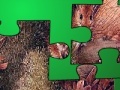 Game Animal Puzzle