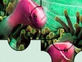 Game Colorful sea fishes puzzle