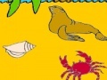Game Seal in the beach coloring