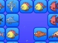 Game Fish connect