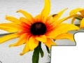 Game Jigsaw: Yellow Flower 2
