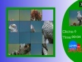 Game Japanese Sparrowhawk slide puzzle