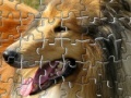 Game Pet Puzzles: Dogs