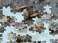Game Turtle puzzle