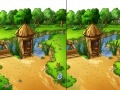 Game Grandma in the garden 5 Difference