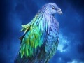 Game Lovely blue bird slide puzzle