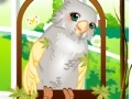 Game Cute parrot dress up